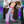 Crew Sock