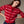 Merino Crewneck Cardigan