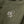 Border Shirt