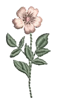Flowers 04
