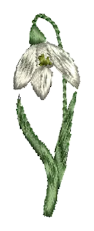 Flowers 05