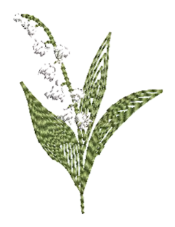 Flowers 06
