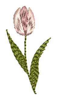 Flowers 08