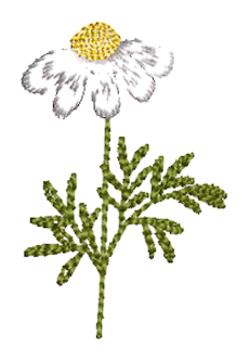 Flowers 10