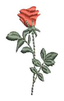 Flowers 11
