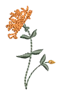 Flowers 12