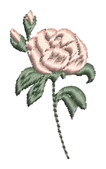 Flowers 13