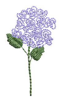Flowers 14