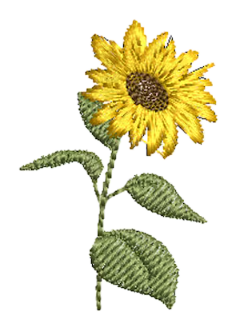 Flowers 15