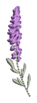 Flowers 16