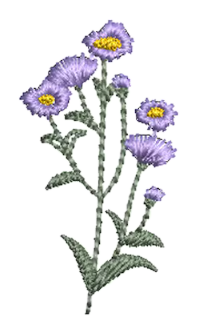 Flowers 17