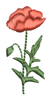 Flowers 18