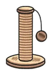 Pet 12